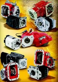 Chelsea Power from Kalypac Miami.